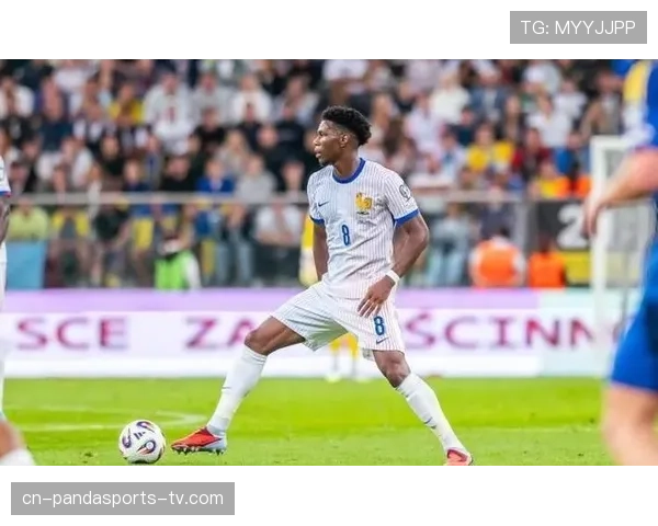 琼阿梅尼能否成长为球队核心