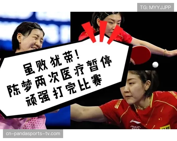 比赛暂停的裁判规则及恢复比赛的判罚条件解析