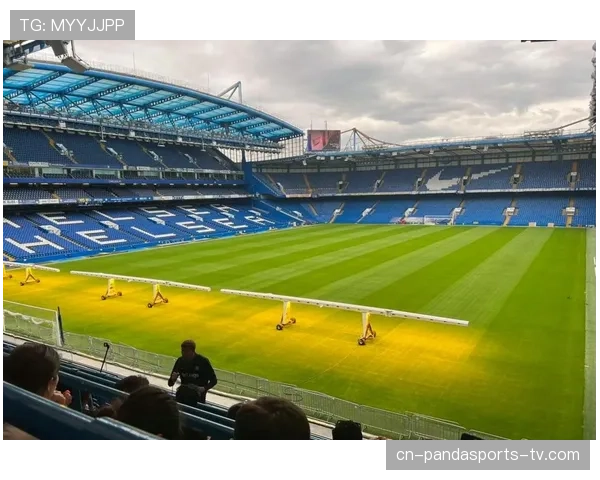 切尔西引援噩梦：阵容混乱引发战术危机，豪门地位岌岌可危？